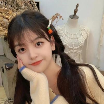 工程师普赖特的方案